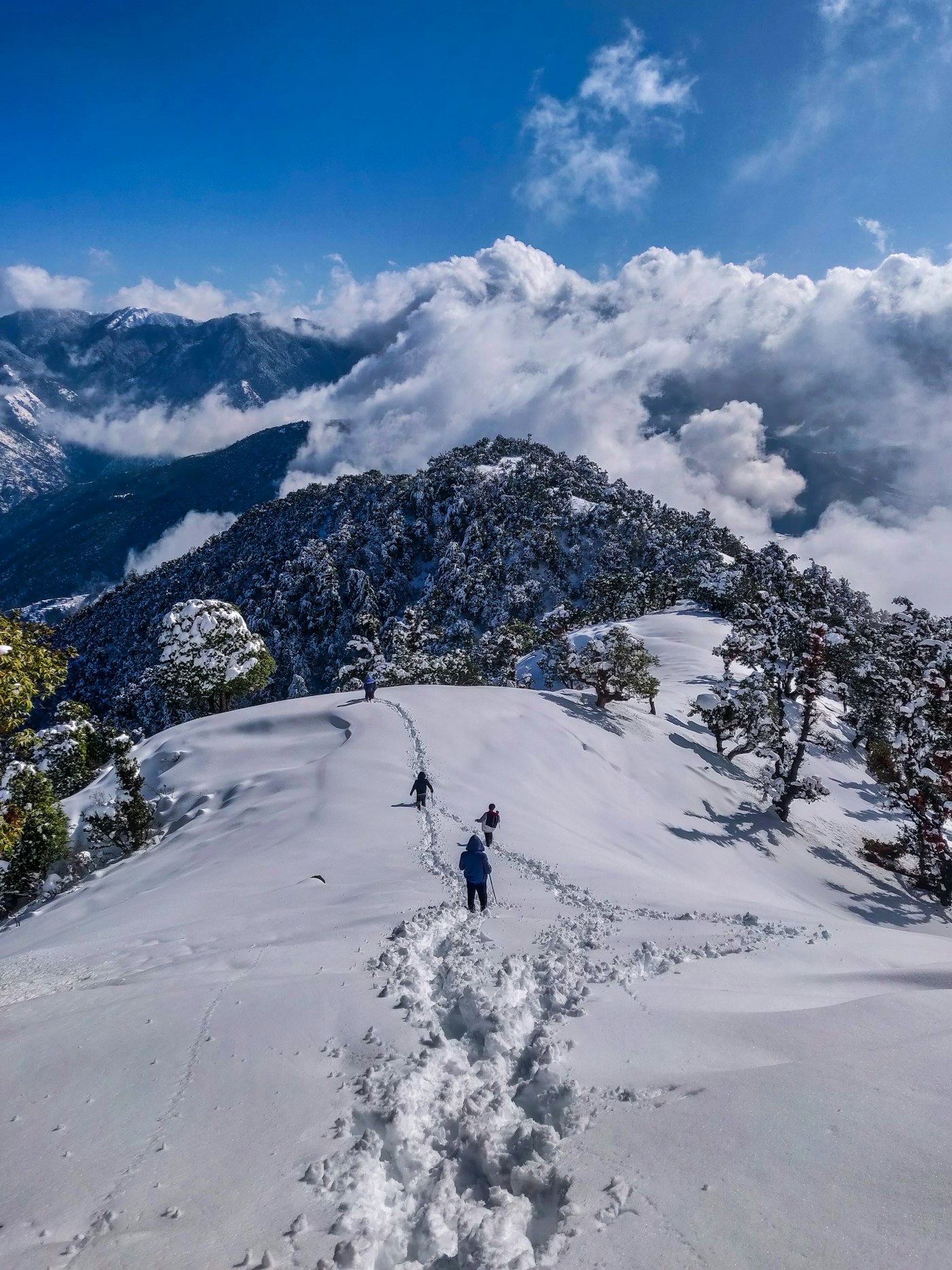 Manali Honeymoon Special